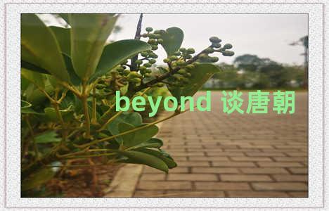 beyond 谈唐朝